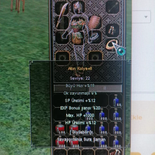  +8 ALTIN KOLYE 20 EXP 1000 HP UCUZ ACİL